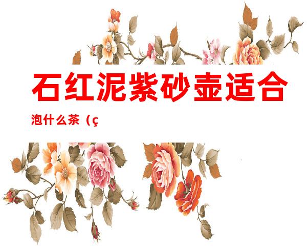 石红泥紫砂壶适合泡什么茶(红泥紫砂壶适合泡什么茶叶)
