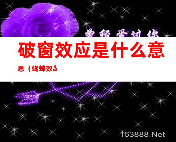 破窗效应是什么意思(蝴蝶效应是什么意思)
