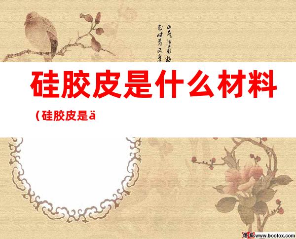 硅胶皮是什么材料(硅胶皮是什么材料做的)