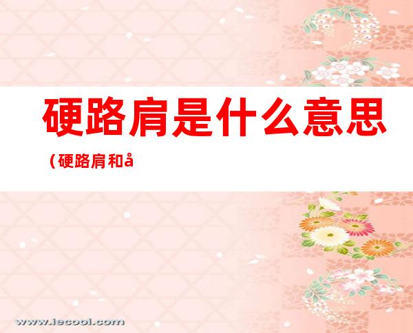 硬路肩是什么意思（硬路肩和土路肩是什么意思）