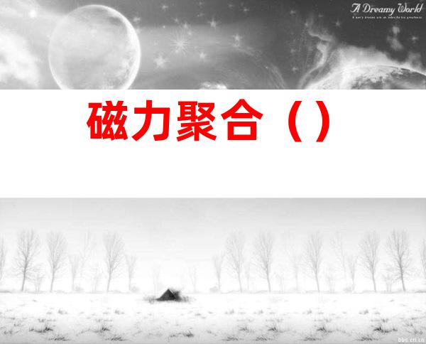 磁力聚合()
