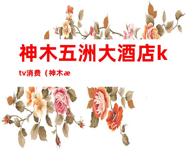 神木五洲大酒店ktv消费（神木恒源国际酒店ktv）