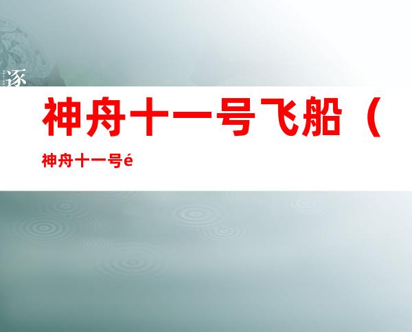 神舟十一号飞船(神舟十一号飞船图片)