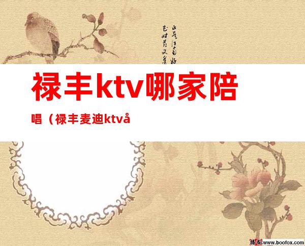 禄丰ktv哪家陪唱(禄丰麦迪ktv包房价格)