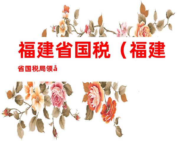 福建省国税（福建省国税局领导班子介绍）