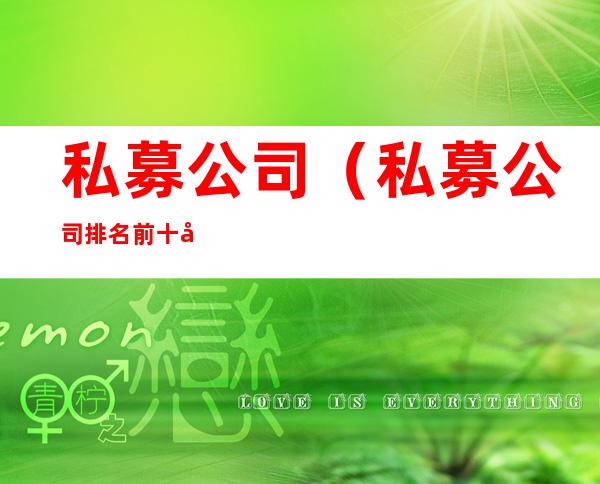 私募公司（私募公司排名前十强）