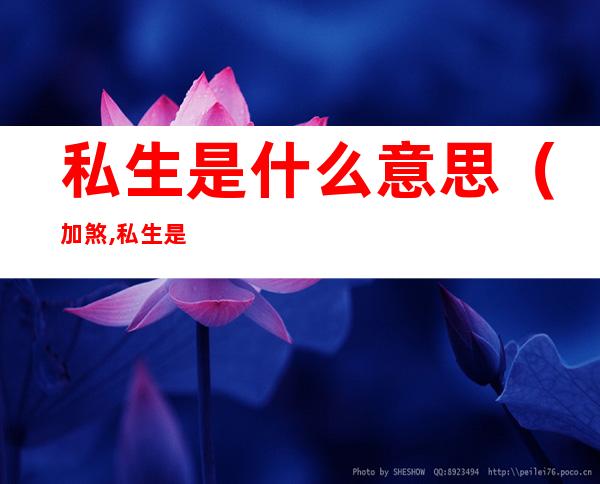 私生是什么意思（加煞,私生是什么意思）