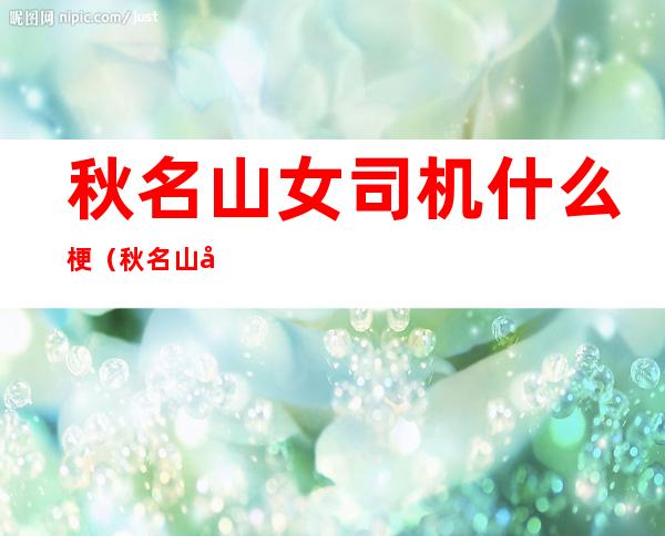 秋名山女司机什么梗(秋名山女司机什么意思)