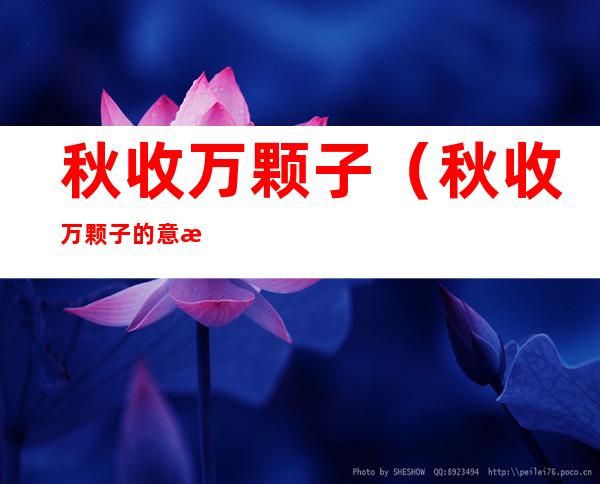 秋收万颗子（秋收万颗子的意思）