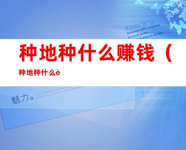 种地种什么赚钱(种地种什么赚钱?)