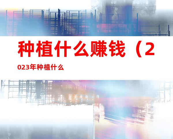 种植什么赚钱(2023年种植什么赚钱)