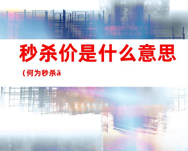 秒杀价是什么意思(何为秒杀价)