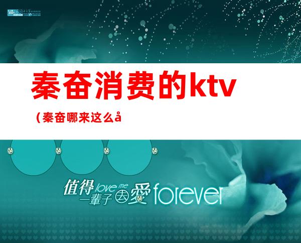 秦奋消费的ktv(秦奋哪来这么多钱)