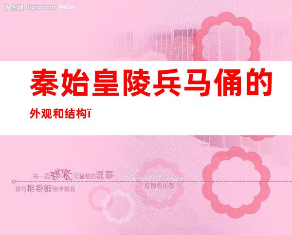 秦始皇陵兵马俑的外观和结构(秦始皇陵兵马俑的外观和结构50字)