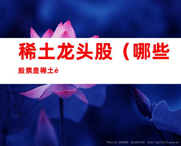 稀土龙头股(哪些股票是稀土龙头股)