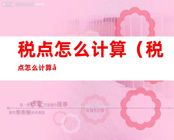 税点怎么计算（税点怎么计算器）