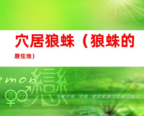 穴居狼蛛（狼蛛的居住地）