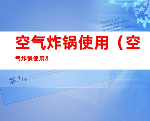 空气炸锅使用（空气炸锅使用中可以随时抽出翻动吗）