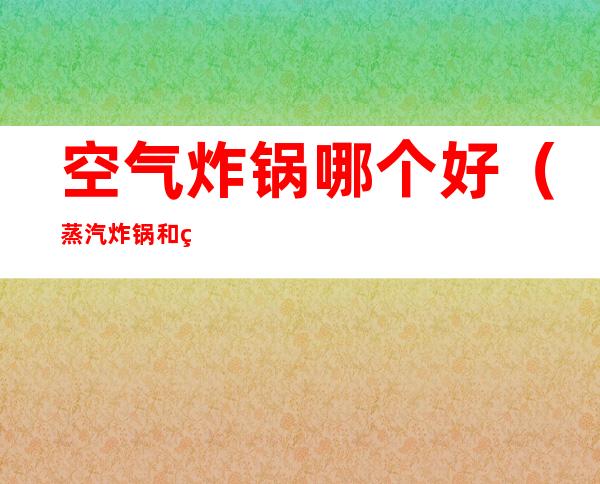 空气炸锅哪个好(蒸汽炸锅和空气炸锅哪个好)