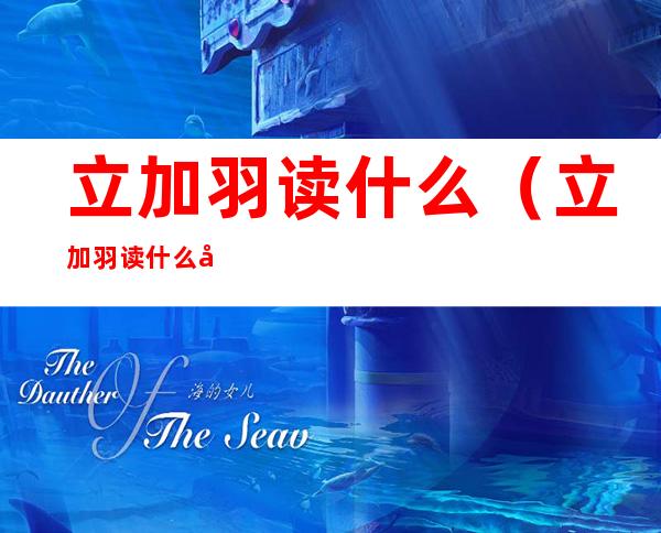 立加羽读什么（立加羽读什么字）