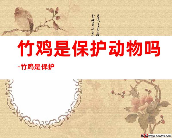 竹鸡是保护动物吗-竹鸡是保护动物吗?