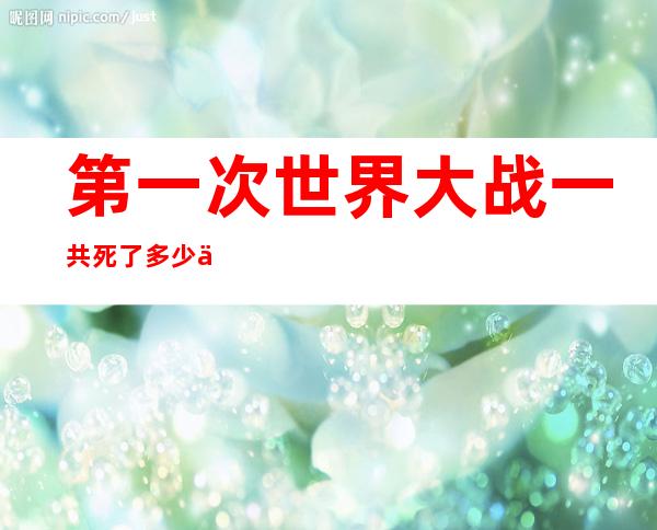 第一次世界大战一共死了多少人(第一次世界大战一共死了多少人啊)