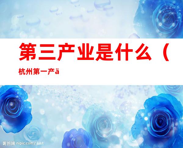 第三产业是什么（杭州第一产业第二产业第三产业是什么）