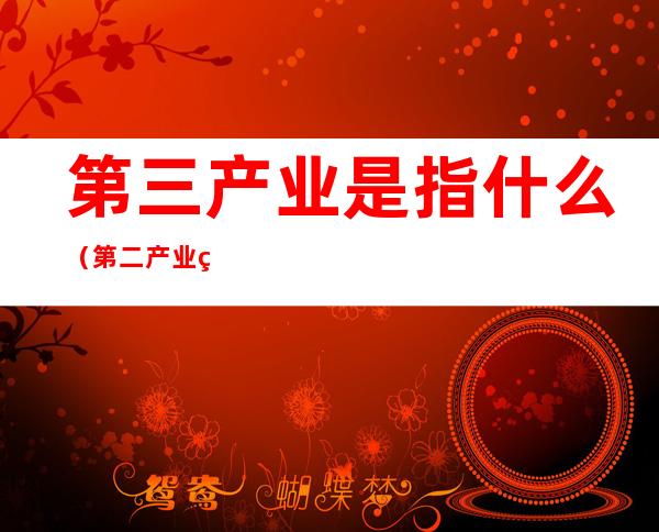 第三产业是指什么(第二产业第三产业是指什么)