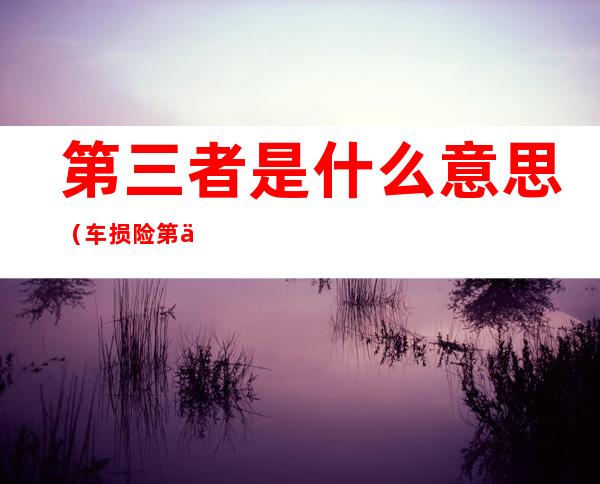 第三者是什么意思(车损险第三者是什么意思)