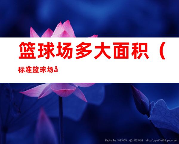 篮球场多大面积(标准篮球场多大面积)