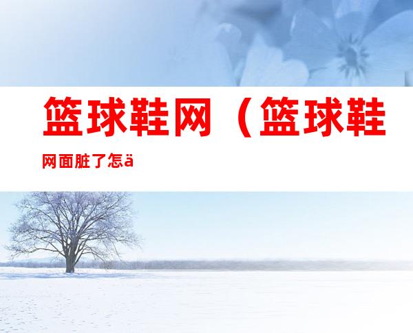 篮球鞋网(篮球鞋网面脏了怎么洗)