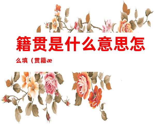 籍贯是什么意思怎么填(贯籍是籍贯是什么意思怎么填)