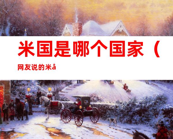米国是哪个国家(网友说的米国是哪国)