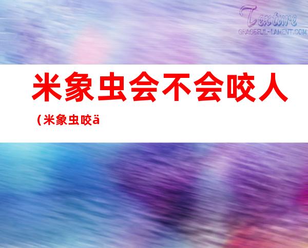 米象虫会不会咬人（米象虫咬人起红疙瘩越抓越痒）