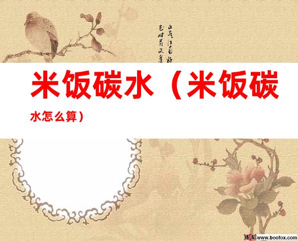 米饭碳水（米饭碳水怎么算）