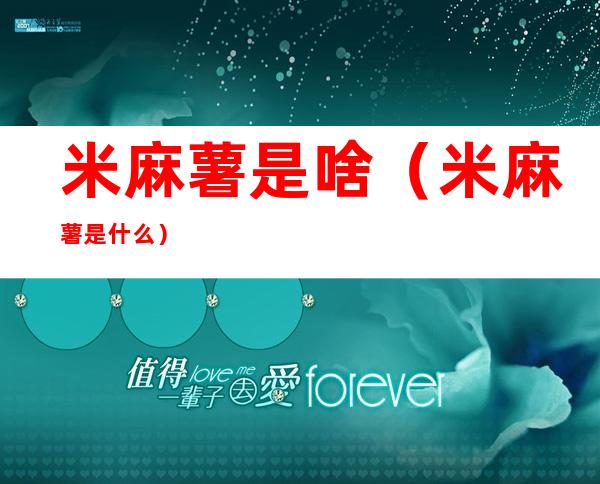 米麻薯是啥(米麻薯是什么)