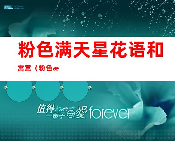 粉色满天星花语和寓意(粉色满天星花语是什么意思 寓意)
