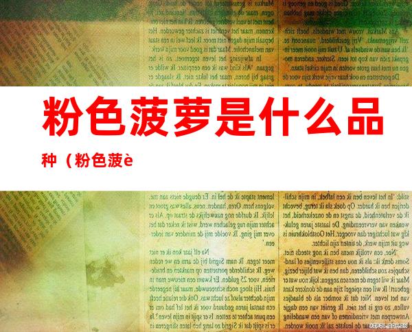 粉色菠萝是什么品种(粉色菠萝是什么品种的猫)
