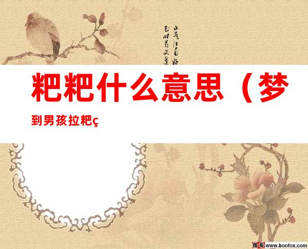 粑粑什么意思(梦到男孩拉粑粑什么意思)