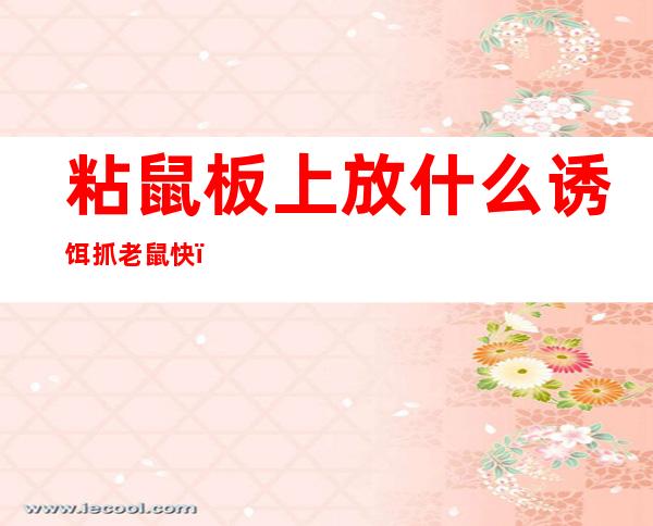 粘鼠板上放什么诱饵抓老鼠快(粘鼠板上要放诱饵吗)