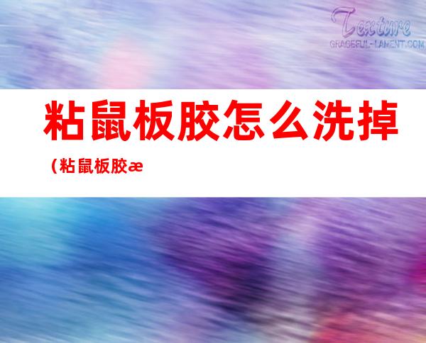 粘鼠板胶怎么洗掉(粘鼠板胶怎么洗掉痕迹)