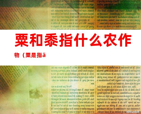粟和黍指什么农作物(粟是指什么农作物)
