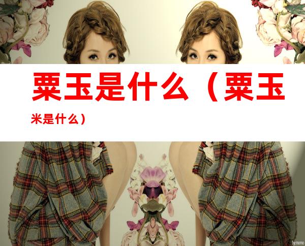 粟玉是什么(粟玉米是什么)