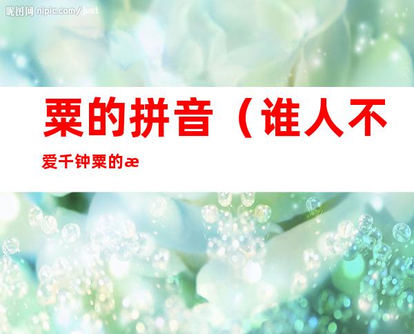粟的拼音(谁人不爱千钟粟的拼音)