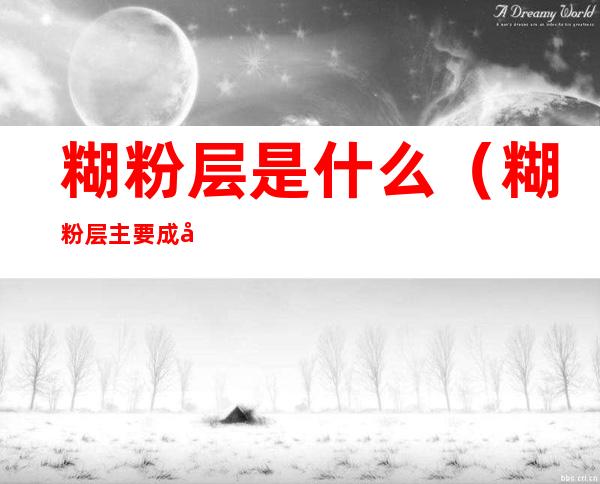 糊粉层是什么（糊粉层主要成分）