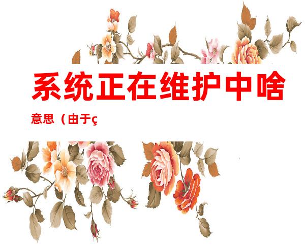 系统正在维护中啥意思(由于系统维护啥意思)