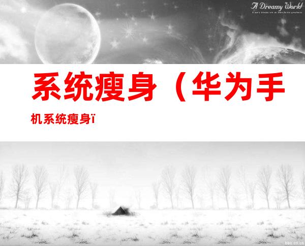 系统瘦身（华为手机系统瘦身）
