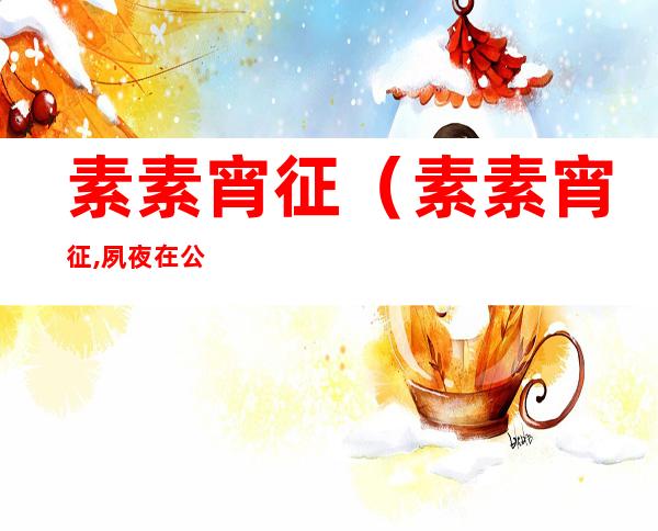 素素宵征（素素宵征,夙夜在公是什么场景）