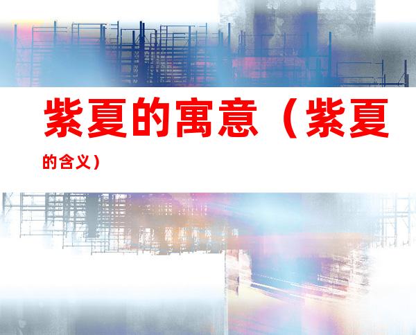 紫夏的寓意(紫夏的含义)