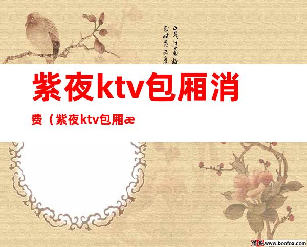 紫夜ktv包厢消费(紫夜ktv包厢消费多少)